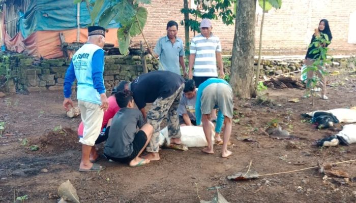 Usai Sholat Idul Adha Mushola Al-Majid Trenggalek Sembelih 7 Hewan Kurban