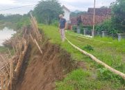 Ribuan Warga Mergayu Tulungagung Was-Was, Tanggul Sungai yang Amblas Belum Diperbaiki Permanen