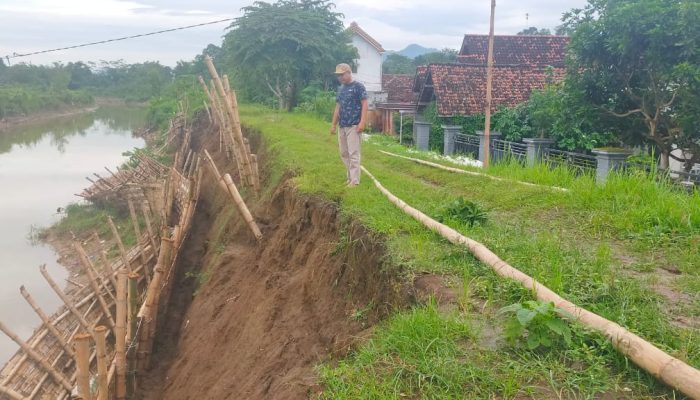 Ribuan Warga Mergayu Tulungagung Was-Was, Tanggul Sungai yang Amblas Belum Diperbaiki Permanen