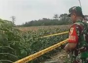 Akhir Dari Pelarian !! Pelaku Pembunuhan Cewek Dalam Karung di Kediri Tertangkap di Tulungagung