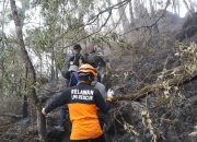 Kebakaran Gunung Arjuno Meluas , Tim Gabungan Tekendala Cuaca dan Angin