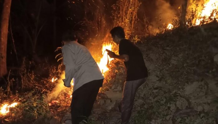 Lahan Jati Seluas 3 Hektar di Trenggalek Terbakar