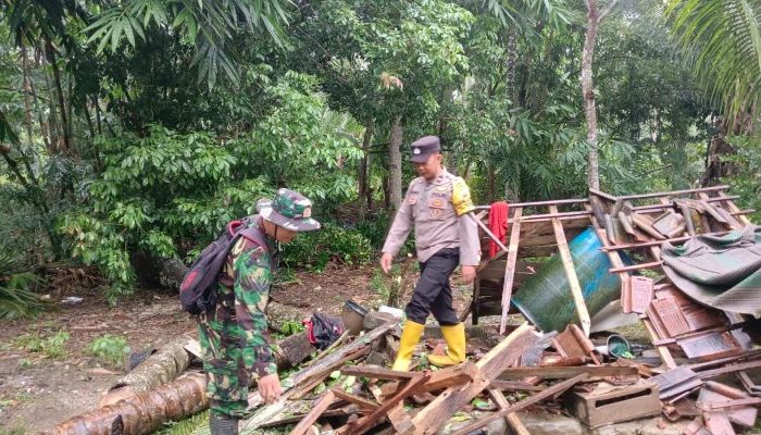 Pohon Tumbang danTanah Longsor di Trenggalek