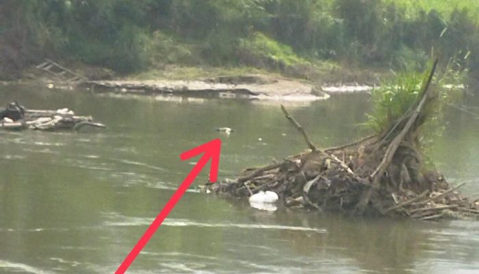 Warga Temukan Jenazah Korban Tenggelam di Sungai Brantas Tulungagung