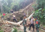 Akses jalan tertutup akibat longsor di Trenggalek