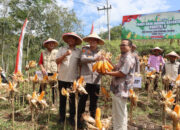 Polres Tulungagung Gelar Panen Raya Jagung dalam Mendukung Swasembada Pangan Nasional