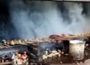 Tradisi Pengasapan Ikan yang Bertahan Puluhan Tahun di Tulungagung