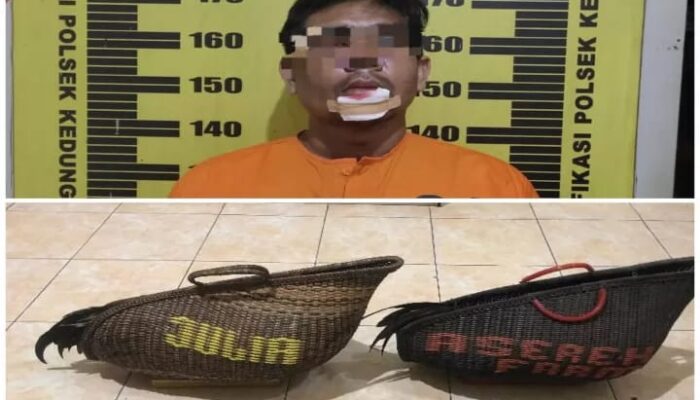 Pria Asal Trenggalek Tertangkap Mencuri Ayam di Tulungagung