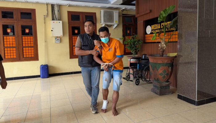 DPO Kasus Pencurian Sapi Diringkus Polisi di Lumajang