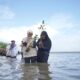 LMI Tanam 1000 Mangrove di Pantai Baros, Peduli Lingkungan Laut