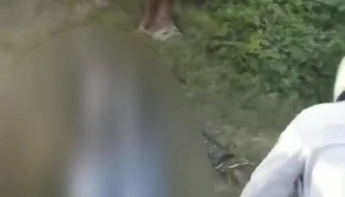 Insiden Lalu Lintas Tunggal di Kediri, Pengendara Sepeda Motor Masuk Sungai