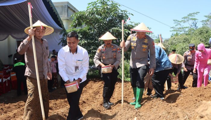 Gandeng Ponpes, Polres Trenggalek Tanam Jagung untuk Ketahanan Pangan