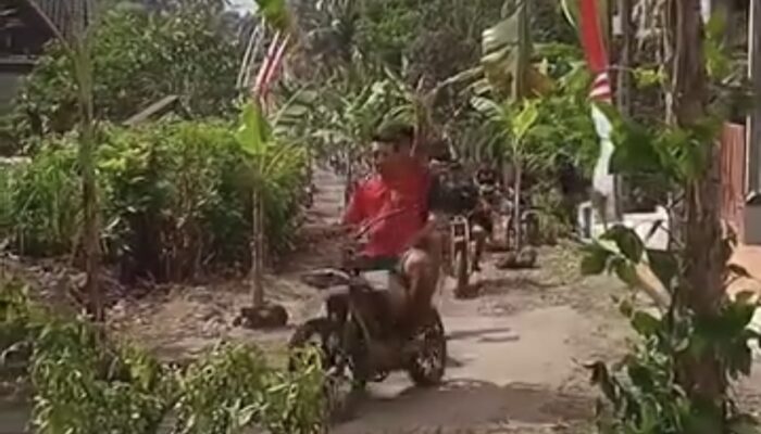Aksi Tanam Pohon Pisang, Warga Tanggunggunung, Tulungagung Desak Perbaikan Jalan