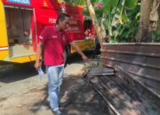 Api Lalap Tumpukan Serabut Kelapa 12 Meter di Ngunut, Kerugian Ditaksir Ratusan Ribu Rupiah