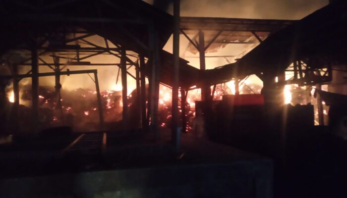 HOROR JAGO MERAH DI TULUNGAGUNG: Tumpukan Ampas Tebu 40 Meter Ludes, Dipicu Korsleting Sanyo!