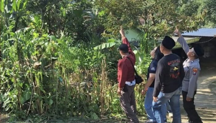 Petaka di Bawah Pohon Durian, Warga Tulungagung Tewas Tersetrum Listrik