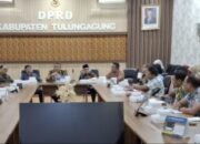 20 TAHUN JALAN RUSAK: Warga Wonorejo Ultimatum Pemkab Tulungagung, Tuntut Pakta Integritas Hukum atau Mengadu ke PUPR!