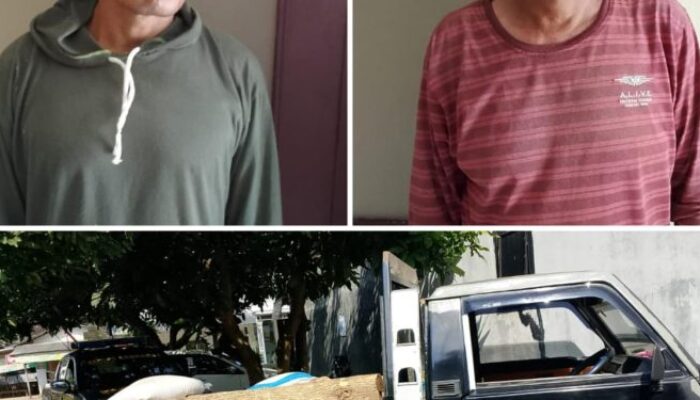 Tertangkap Basah Angkut Kayu Jati Ilegal, Dua Pencuri Hutan di Tulungagung Dibekuk Polisi