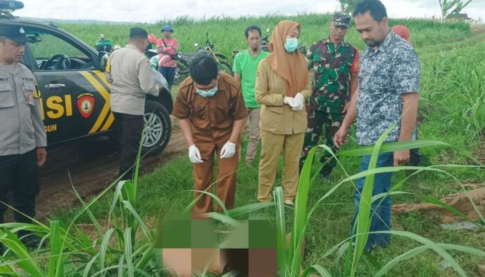 Mayat Misterius Ditemukan di Bawah Pohon Pete Blitar, Diduga Seorang Gelandangan