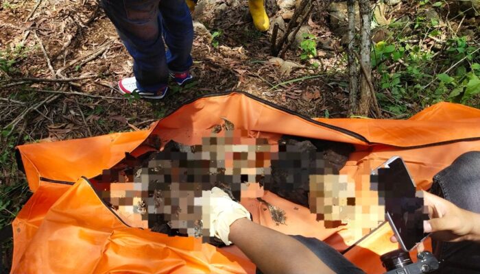 MISTERI LERENG GUNUNG! Warga Tulungagung Kaget Temukan Kerangka Manusia Lengkap dengan Gigi Palsu Saat Cari Kroto