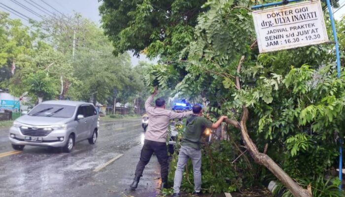 Badai Sore Menerjang Tulungagung: Dua Pohon Tumbang, Rusak Kabel dan Teras Warung