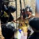 DRAMATIS! Sapi 7 Kwintal Mengamuk di Bondowoso, Berakhir Tercebur Sumur Sedalam 8 Meter
