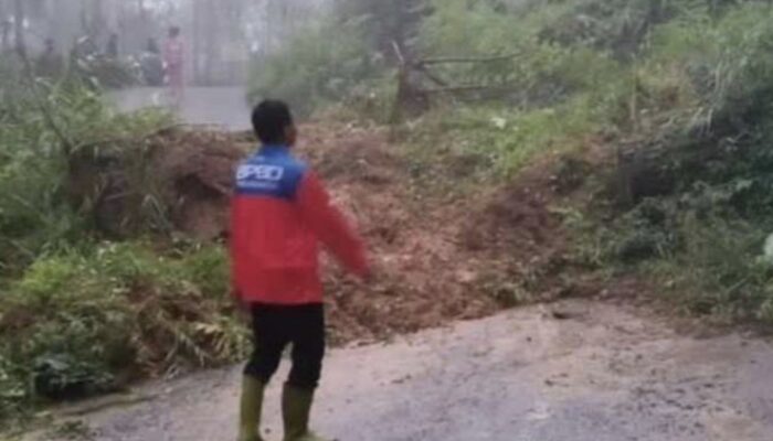 BREAKING NEWS: Hujan Deras Picu Longsor Hebat, Akses Tulungagung-Trenggalek Via Bendungan Tertutup Total!