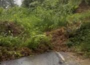 AKSES PULIH! Melawan Waktu Dini Hari, Jalur Maut Tulungagung-Trenggalek Berhasil Dibuka Setelah 12 Jam Tertutup Longsor