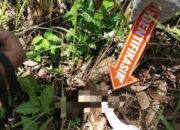 TERUNGKAP! Misteri Kerangka Manusia di Lereng Gunung Tulungagung Terpecahkan, Dikenali Lewat Kaos Jersey dan Gigi Palsu