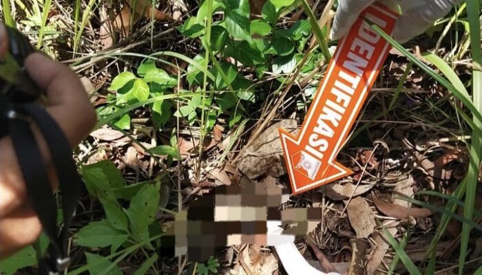 TERUNGKAP! Misteri Kerangka Manusia di Lereng Gunung Tulungagung Terpecahkan, Dikenali Lewat Kaos Jersey dan Gigi Palsu