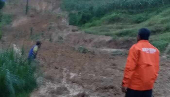 Longsor Susulan Pagerwojo,100 Meter Jalur Utama Tulungagung-Trenggalek Lumpuh, Distribusi Susu Terancam