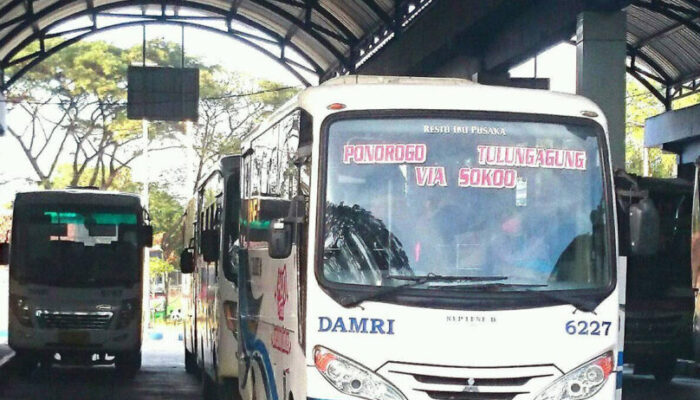 DAMRI Rute Ponorogo–Tulungagung Normal, Namun Ancaman Longsor di Jalur Kritis Kian Mengintai