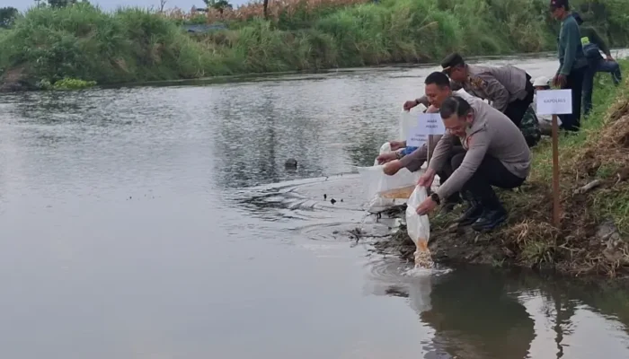 Bukan Hanya Patroli Darat, Kapolres Tulungagung ‘Patroli’ Air: 5.000 Benih Ikan Jadi Sinyal Keras Larangan Nyetrum di Parit Agung