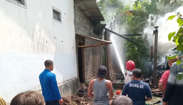 Niat Usir Tawon, Kandang Kayu di Tulungagung Terbakar