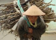 Ibu, Pelabuhan Tenang di Tengah Badai Kehidupan