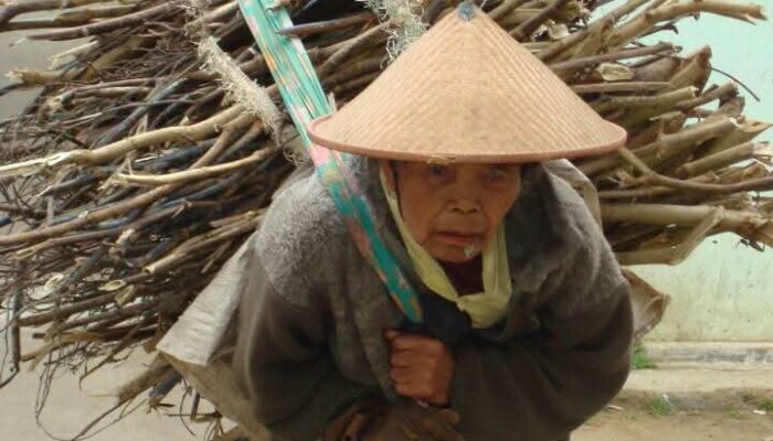 Ibu, Pelabuhan Tenang di Tengah Badai Kehidupan