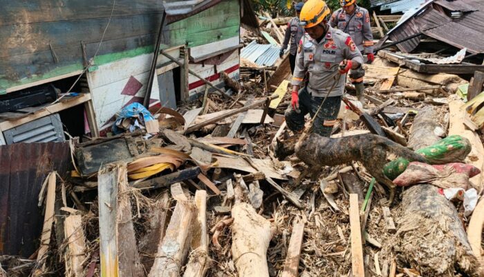 Ditemukan Sesosok Mayat Wanita di Depan Gereja GKPA Huta Godang, Batang Toru