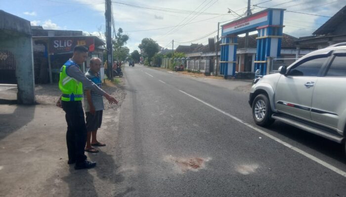 Kecepatan Tinggi, Motor GL Tabrak Lansia Bersepeda di Pakel Tulungagung