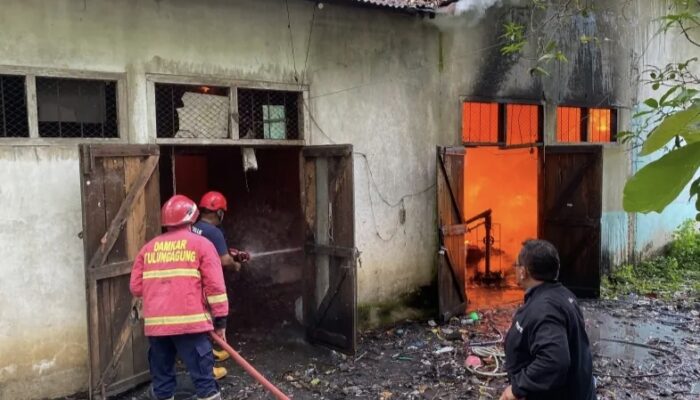 Ratusan Juta Rupiah Ludes! Gudang ‘Harta Karun’ Rosok di Karangrejo Tulungagung Jadi Abu dalam Sekejap