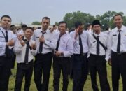 Penantian Panjang Berakhir! 5.415 Tenaga Honorer Tulungagung Resmi Jadi PPPK Paruh Waktu, Teknis dan Guru Jadi Prioritas