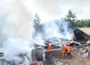 Kilang Penyulingan Daun Cengkeh Trenggalek Terbakar Hebat, Kerugian Capai Setengah Miliar