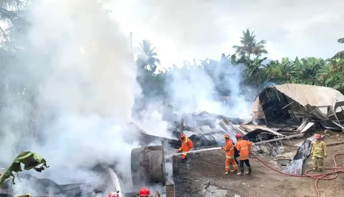Kilang Penyulingan Daun Cengkeh Trenggalek Terbakar Hebat, Kerugian Capai Setengah Miliar