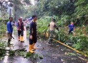 Lumpuh Akibat Bambu Longsor, Jalur Nasional Trenggalek-Ponorogo Kembali Normal Berkat Aksi Cepat Tim Gabungan