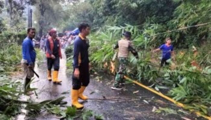 Lumpuh Akibat Bambu Longsor, Jalur Nasional Trenggalek-Ponorogo Kembali Normal Berkat Aksi Cepat Tim Gabungan