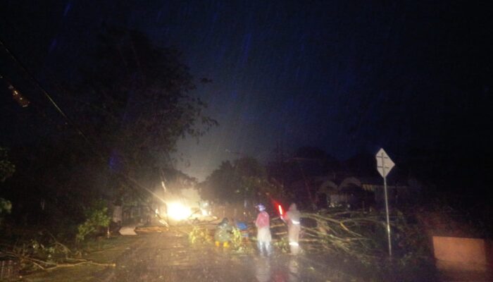 Pohon Tumbang Akibat Hujan Deras Lumpuhkan Jalan Raya Bandung Tulungagung, Mobil Tertimpa