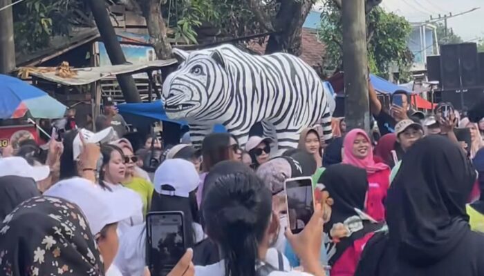 Berkah Viral Macan Putih, Balongjeruk Kediri ‘Meledak’ Ekonomi, Warga Usulkan Car Free Day Permanen
