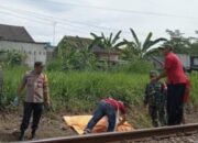 Tragedi di Rel Bence Garum Blitar: Pria Lansia 82 Tahun Tewas Tertabrak KA Matarmaja, Diduga Bunuh Diri