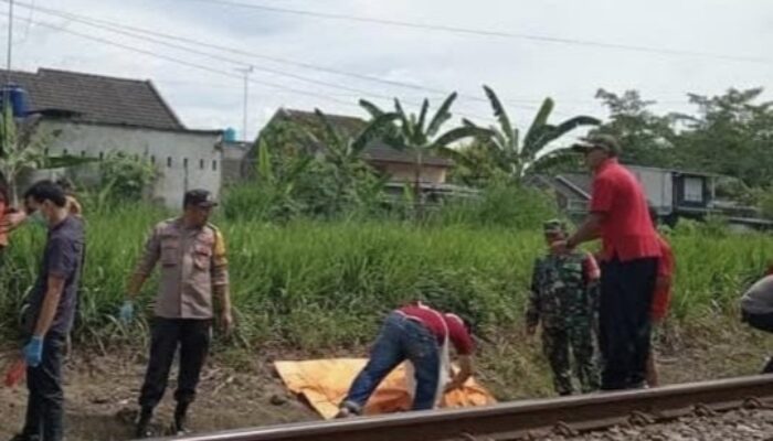 Tragedi di Rel Bence Garum Blitar: Pria Lansia 82 Tahun Tewas Tertabrak KA Matarmaja, Diduga Bunuh Diri