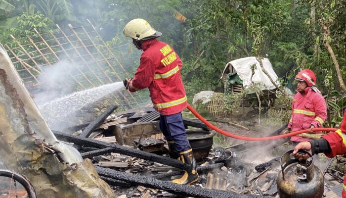 Dapur Rumah Lansia di Pakel Tulungagung Terbakar, Pemilik Alami Syok Berat