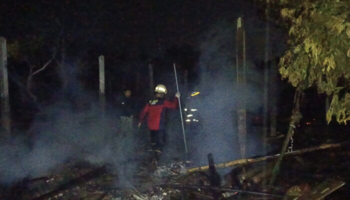 Ratusan Juta Rupiah Ludes: Kandang Ayam Berisi 5.000 Ekor di Rejotangan Tulungagung Terbakar, Diduga Korsleting Pemanas